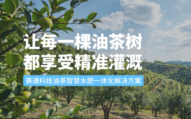 赛通科技油茶QY千亿球友会水肥一体化解决方案：让每一棵油茶树都享受精准灌溉
